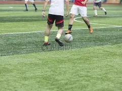 鲍威尔计划,短暂休假养,痊愈后将回,神殿娱乐,神殿娱乐入口,神殿娱乐官方入口,神殿娱乐官方网址