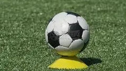 【独家揭秘】桑德兰球队体能状况突变，免费解析背后的真相！